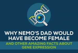 Gene-expression-lexogen