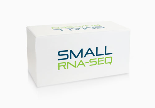 Small-RNA_Box_500px