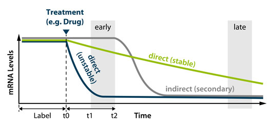 SLAMseq-Drug-Treatment-Graph