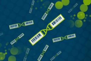 Lexogen_UDI-N12_Barcode_Website_Blog