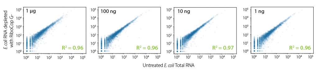 Figure-02_Unbiased expression profile maintenance