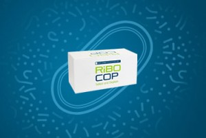 Lexogen_RiboCop_Bacteria_Website_Blog