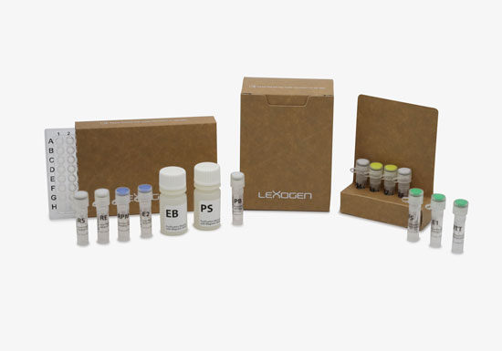 139.96-QuantSeq-Pool