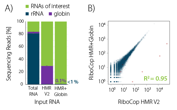 Fig_01 - RiboCop HMR plus Globin