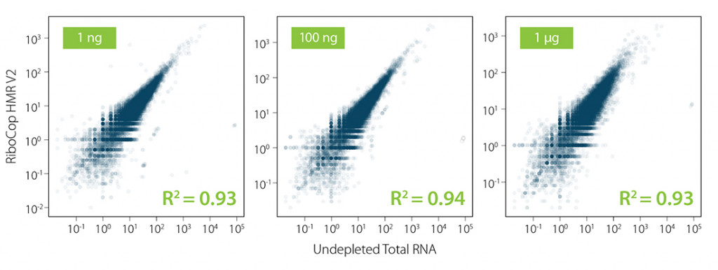 Fig_02 - RiboCop HMR V2