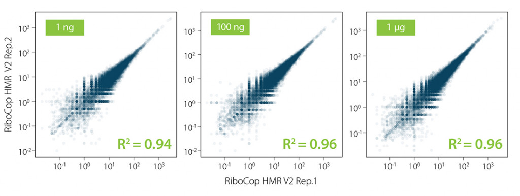 Fig_04 - RiboCop HMR V2