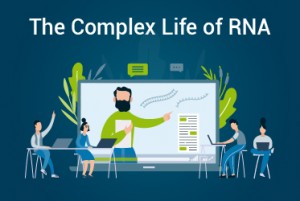 Complex Life of RNA 2020_Virtual Event_Blog Thumbnail