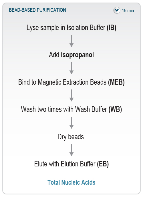 158_SARS-CoV-2 Rapid RNA Extraction_Scheme-Workflow_V0101_short