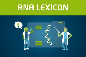 Lexogen_RNA-LEXICON_Announcement_Blog Thumbnail