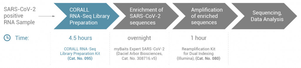 Lexogen_SARS-CoV-2_Sequencing-Workflow_CORALL-Enrichment