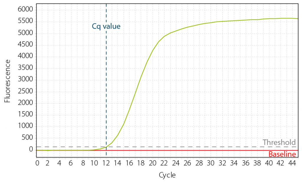Library Preparation Quality Control and Quantification | RNA Lexicon