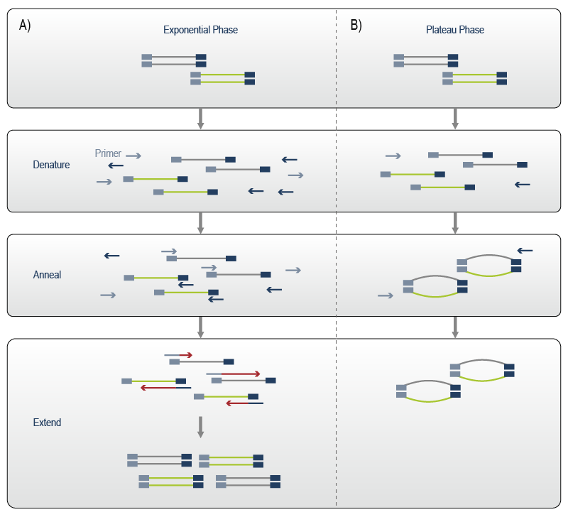 Lexogen_RNA-LEXICON_Chapter10_Graph-06