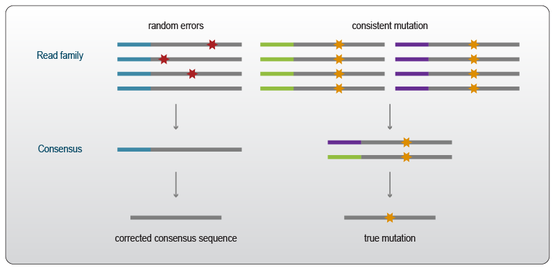 Lexogen_RNA-LEXICON_Chapter8_Graph_03