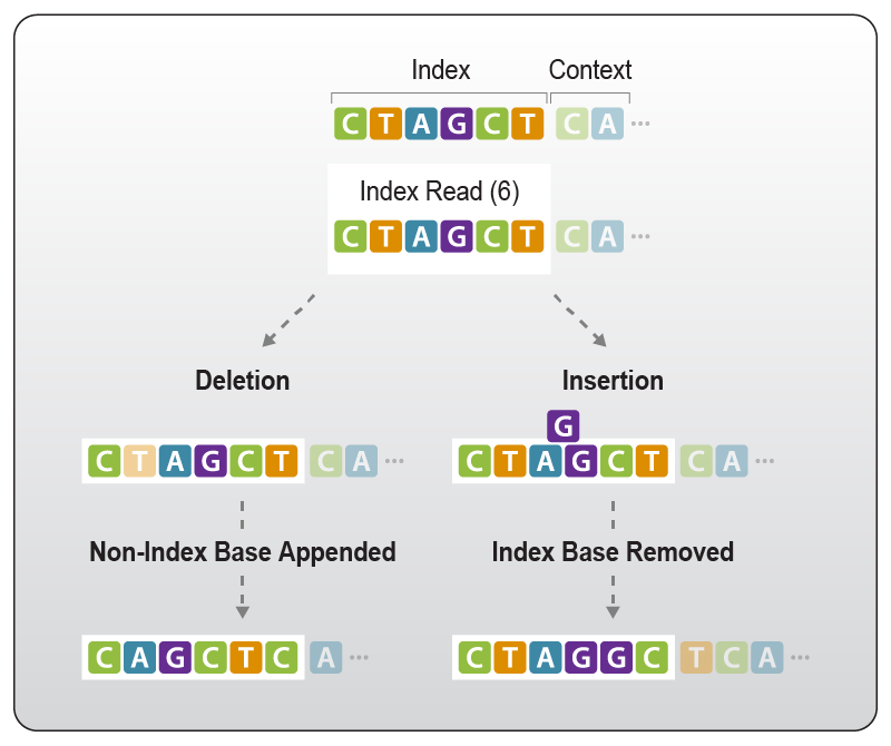 Lexogen_RNA-LEXICON_Chapter9_Graph-08