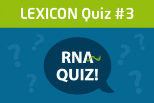 Lexogen_RNA-QUIZ-3_Blog Thumbnail