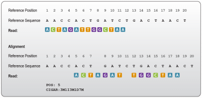 Secondary Data Analysis of RNA-Seq data | RNA Lexicon