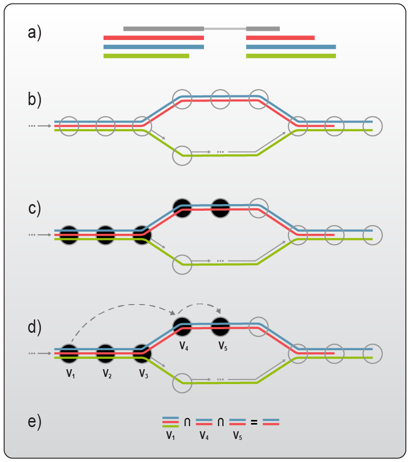 Lexogen_RNA-LEXICON_Chapter12_Graph-03