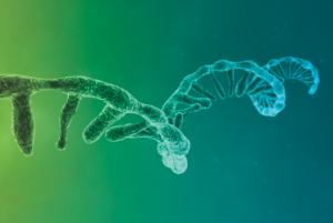 CORALL-V2_Release_Blog Thumbnail