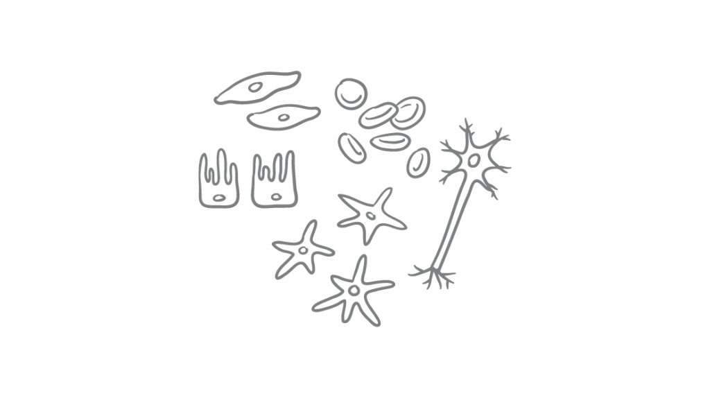 LUTHOR-HD_Workflow_01