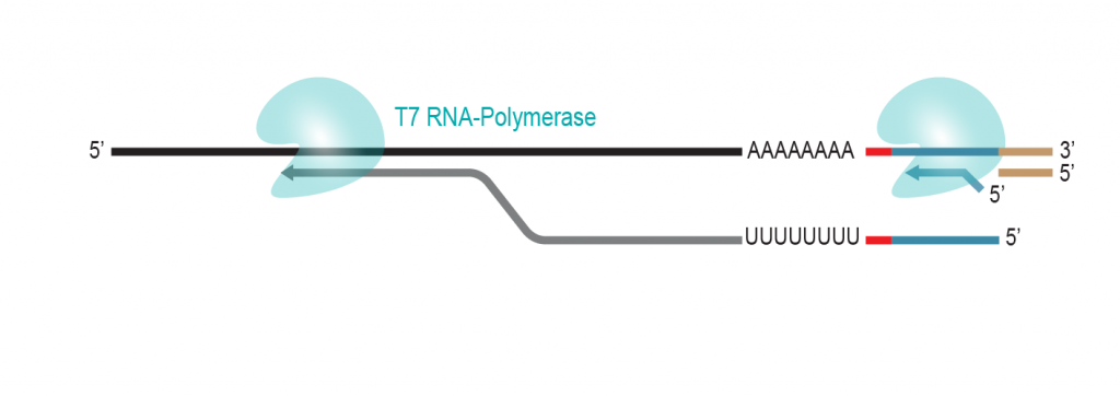 LUTHOR-HD_Workflow_05