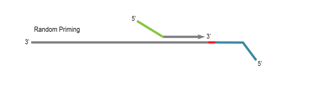 LUTHOR-HD_Workflow_07