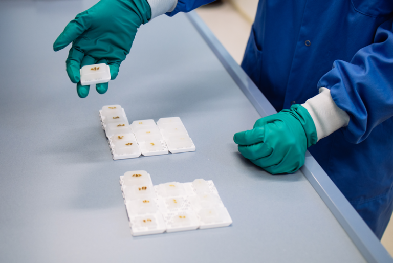 What are FFPE samples and how are they prepared? | Lexogen