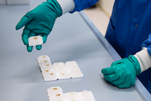 What are FFPE samples and how are they prepared