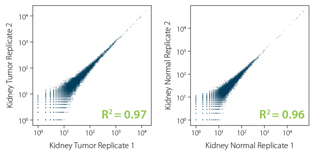 ALT text image: QuantSeq FFPE_Gene count_correlation analysis for human kidney tumor vs healthy