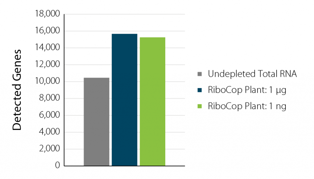 The number of detected genes upon rRNA depletion of A. thaliana total RNA with with RiboCop for Plants using 1 µg or 1 ng input RNA.