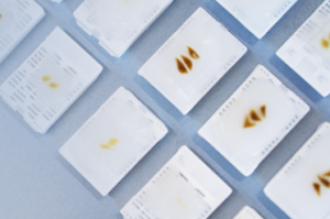 FFPE-Blog-Article-Fresh-frozen-vs-FFPE-samples_Blog Thumbnail