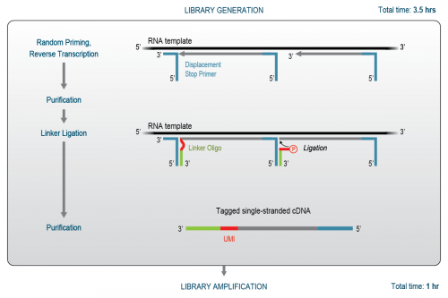 FFPE Transcriptomics: 3’ mRNA-Seq vs Whole Transcriptome Sequencing