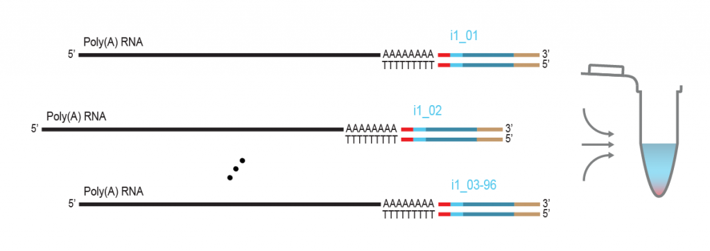 LUTHOR-HD-Pool_Workflow_04