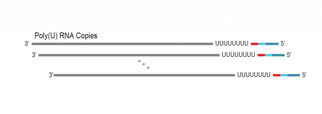 LUTHOR-HD-Pool_Workflow_06