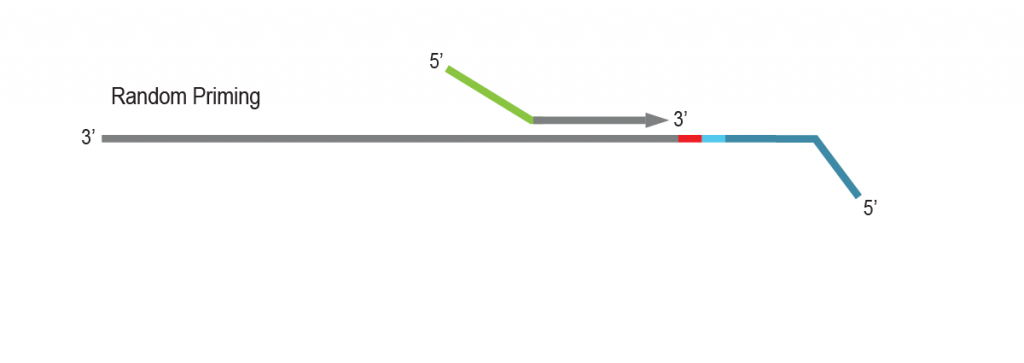 LUTHOR-HD-Pool_Workflow_07