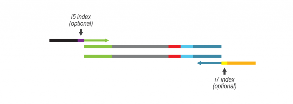 LUTHOR-HD-Pool_Workflow_08