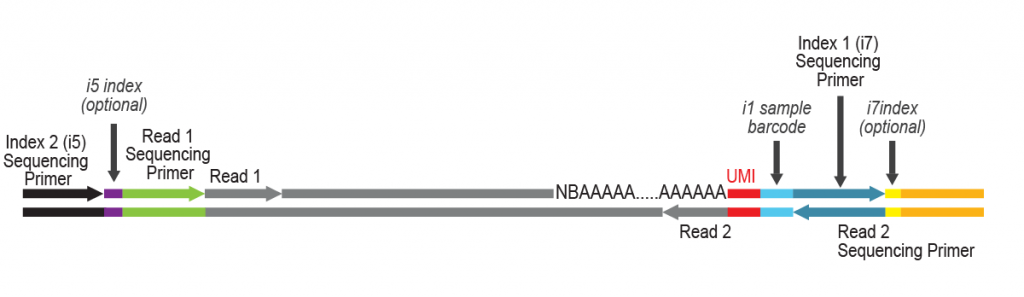 LUTHOR-HD-Pool_Workflow_09