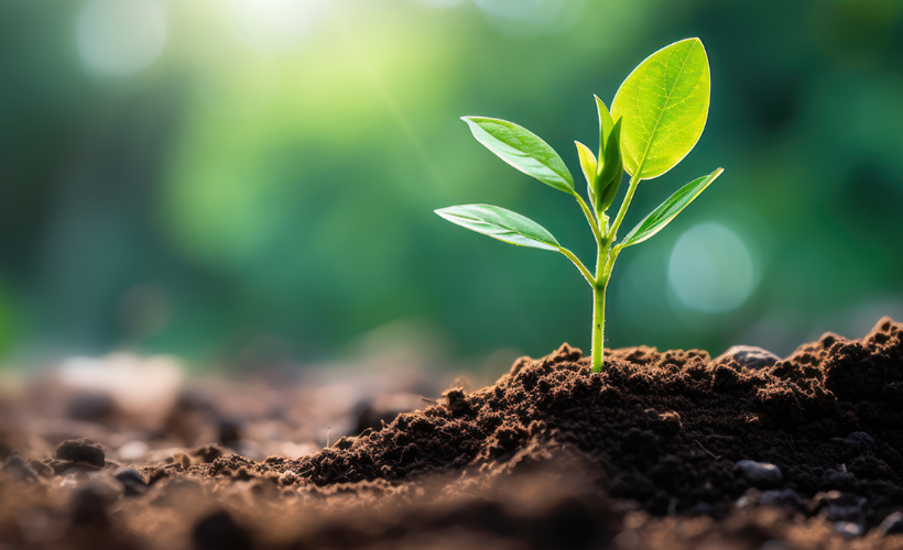 Plant or crop sciences in agricultural biology focus on sustainable growth to feed an ever growing population, improving crop health and yield, accelerating adaptation of crops to changing environmental conditions, such as heat and draught, and to fight plant pathogens with natural pesticides.