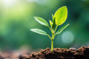 Lexogen-Plants-Blog-1_Blog Thumbnail