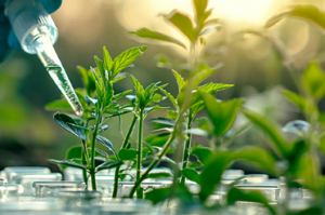 Lexogen-Plants-Blog-2_Blog Thumbnail