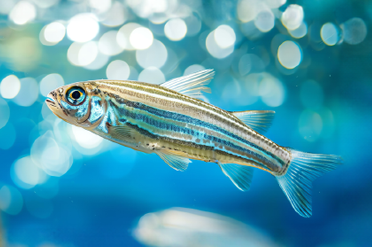 Lexogen Launches RiboCop rRNA Depletion Kit for Fish Species