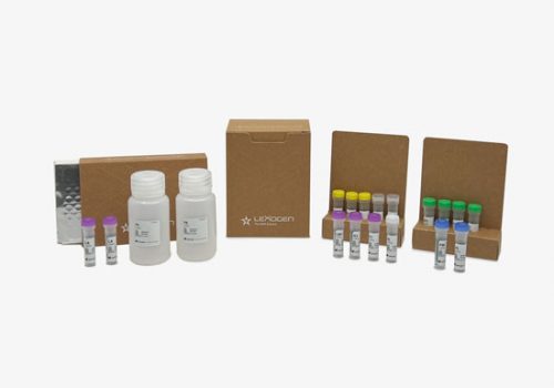 242-miRVEL-Discovery-Small-RNA