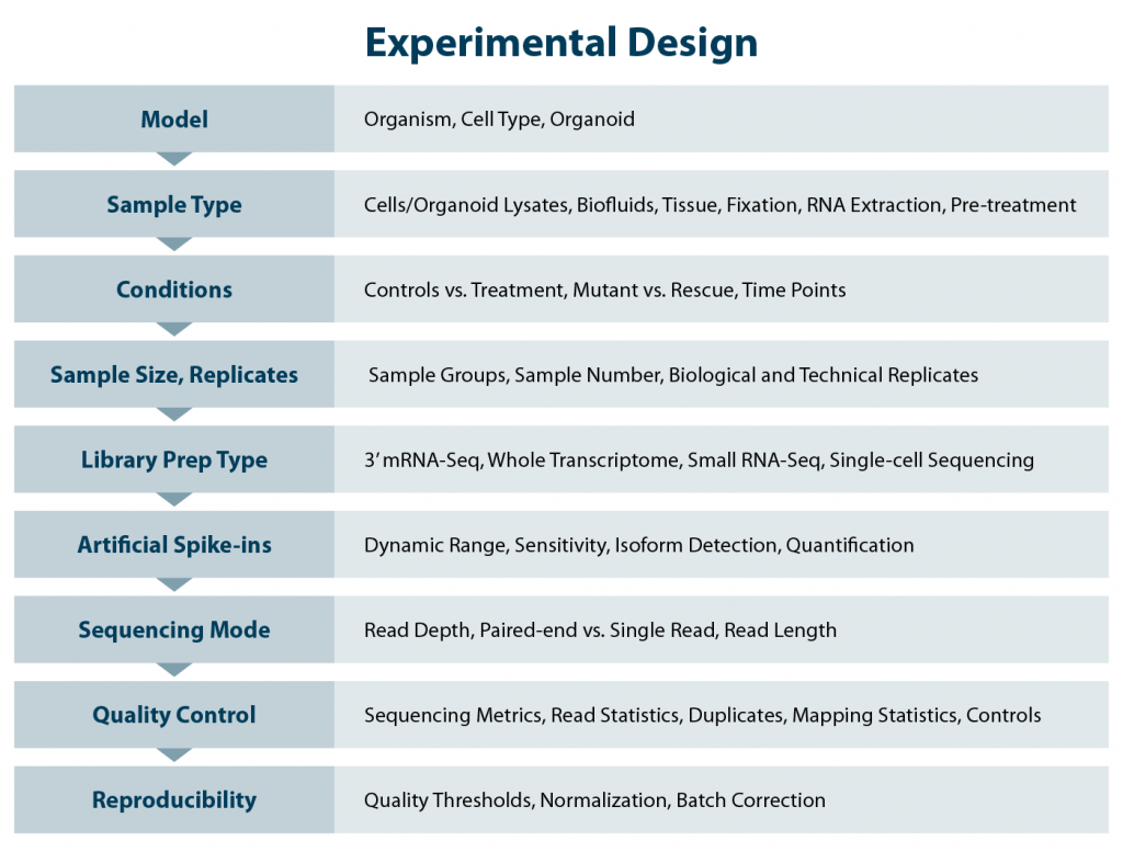 Overview of factors for experimental design to ensure successful RNA-Seq experiments in drug discovery. Model system, sample type, size, replicates, and study aim drive library prep and sequencing choices. Quality control, ensured by selecting appropriate conditions, controls, and spike-ins, leads to reliable and reproducible data.