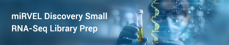 miRVEL-Discovery-Small-RNA_Blog Banner