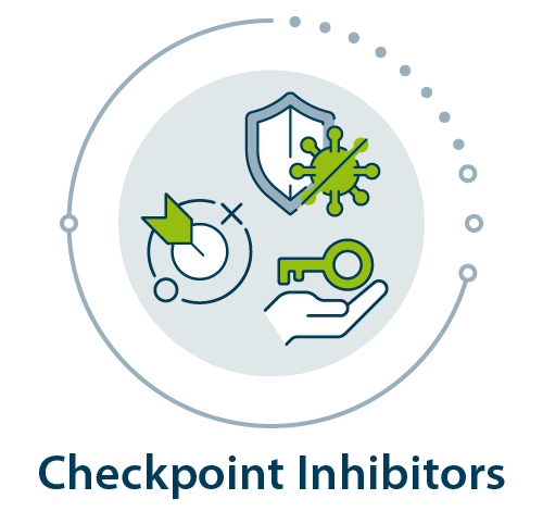 Figure 4_Icon Checkpoint Inhibitors_transparent