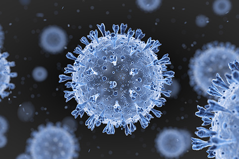 COVID19 (SARS-CoV-2)_Species