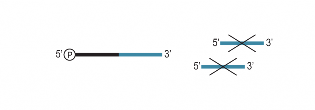 02_miRVEL-Profiling_Workflow