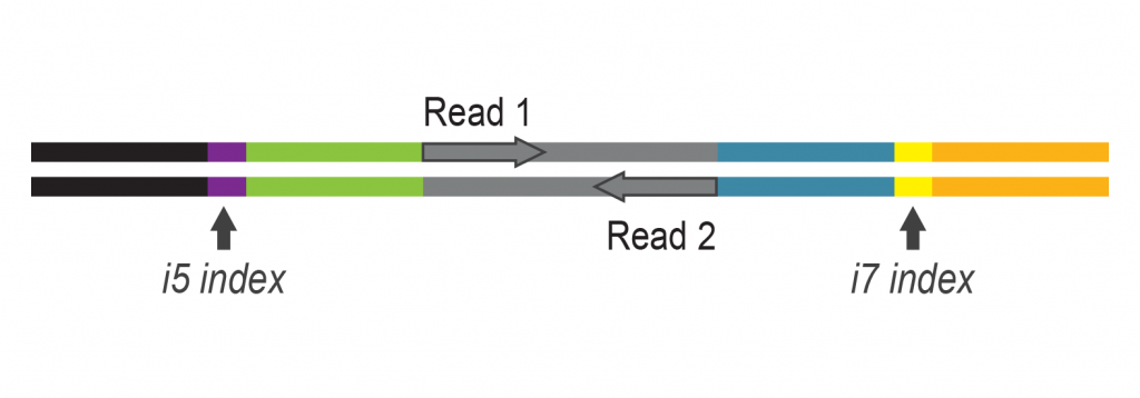 06_miRVEL-Profiling_Workflow