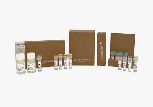 243 - miRVEL Profiling Small RNA