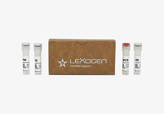 246 - miRVEL Profiling PCR Add-on and Reamplification 246 - miRVEL Profiling PCR Add-on and Reamplification