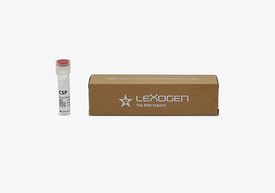 245.01 - QuantSeq REV Custom Sequencing Primer